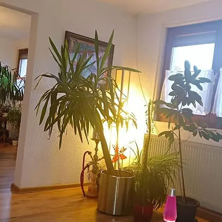 Lovely 2-bedroom Vacation With Nearby Parking 公寓